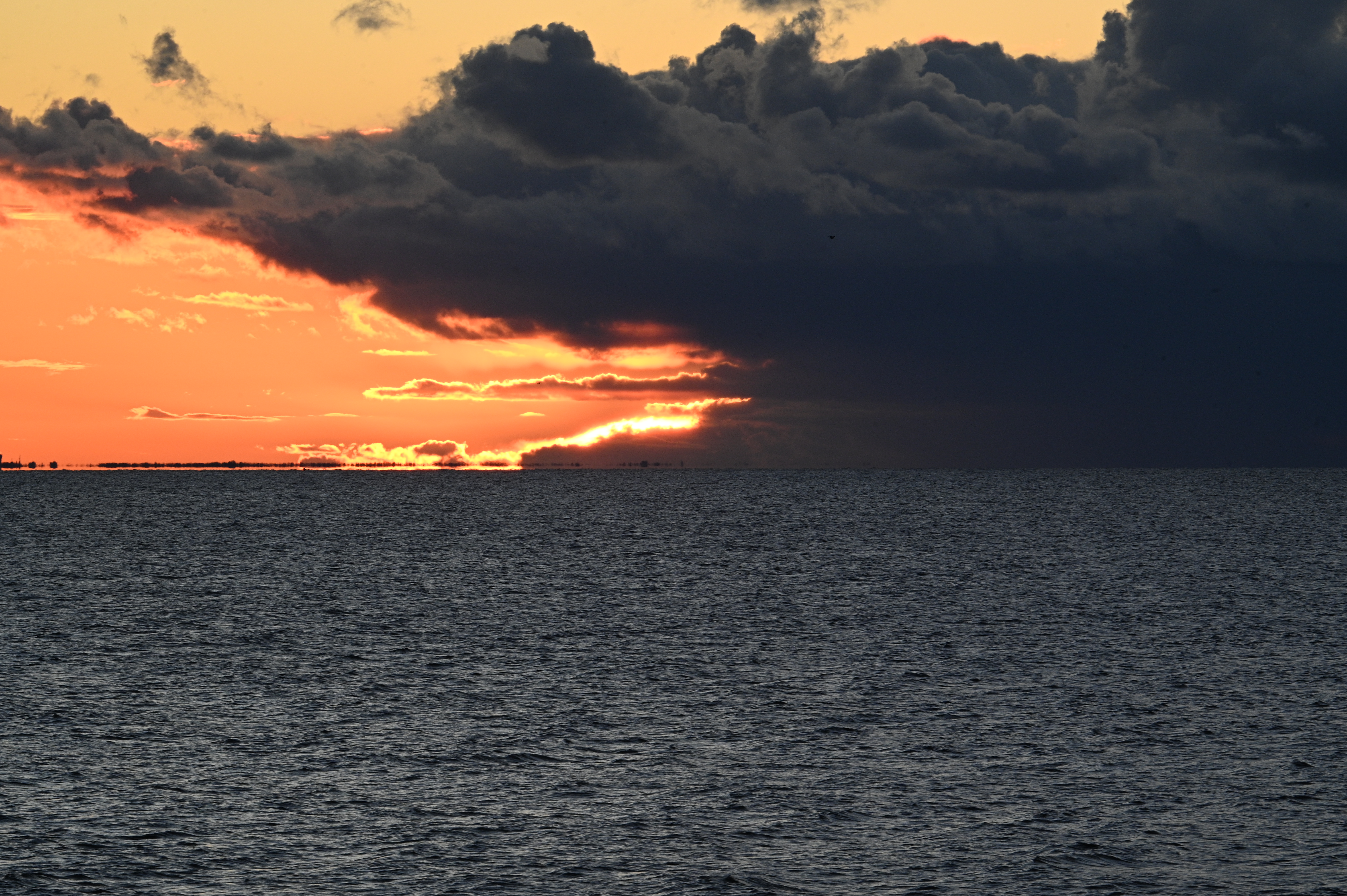 2025/10/18 - walk/DSC_0503.JPG